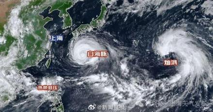 白海豚来了上海哪天风雨最强 白海豚是台风中的马拉松选手 白海豚来了上海哪天风雨最强 白海豚是台风中的马拉松选手