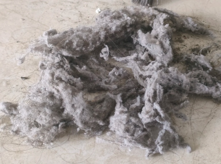 明明关紧了门窗,为啥家里还是一层灰?灰尘到底从哪来 明明关紧了门窗,为啥家里还是一层灰?灰尘到底从哪来