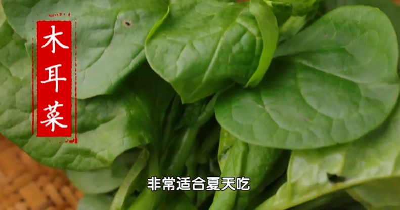 这把“长寿菜”,一吃健骨骼,二吃护肝脏,三吃强免疫!尤其适合三高人群 这把“长寿菜”,一吃健骨骼,二吃护肝脏,三吃强免疫!尤其适合三高人群