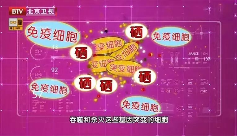 这把“长寿菜”,一吃健骨骼,二吃护肝脏,三吃强免疫!尤其适合三高人群 这把“长寿菜”,一吃健骨骼,二吃护肝脏,三吃强免疫!尤其适合三高人群