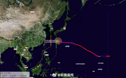 白海豚来了上海哪天风雨最强 白海豚是台风中的马拉松选手 白海豚来了上海哪天风雨最强 白海豚是台风中的马拉松选手
