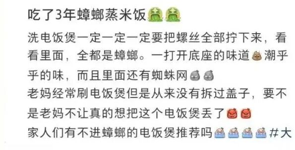有蟑螂!掀开电饭煲,很多人懵了,电饭煲这些死角要注意 有蟑螂!掀开电饭煲,很多人懵了,电饭煲这些死角要注意