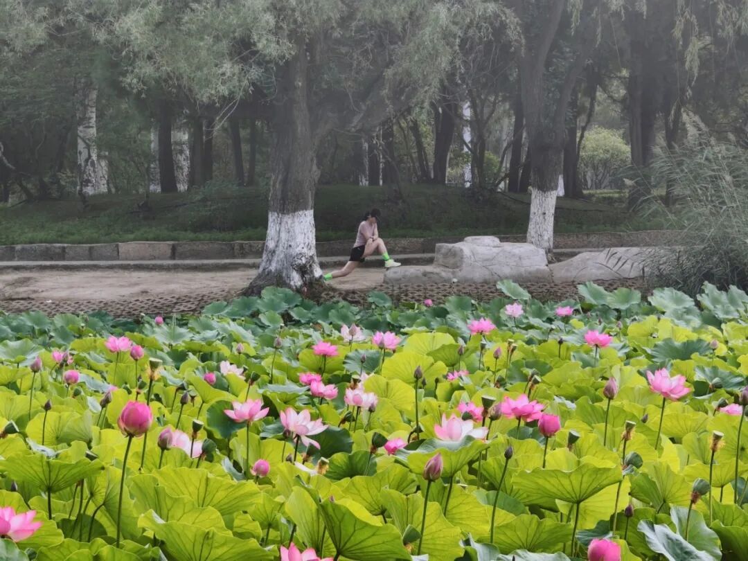 今天,呼和浩特正式进入!呼市人懵了:来了,又好像没有完全来… 今天,呼和浩特正式进入!呼市人懵了:来了,又好像没有完全来…