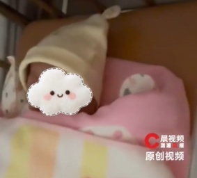 47岁女子腹痛就医才发现怀孕了!1小时后产下女婴!26岁女儿惊呆:以为只是胖了… 47岁女子腹痛就医才发现怀孕了!1小时后产下女婴!26岁女儿惊呆:以为只是胖了…