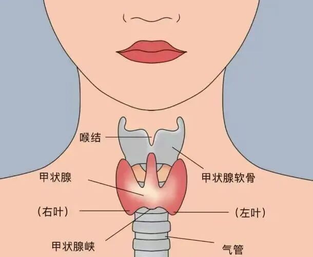 27岁男子查出1厘米结节，半年后确诊癌症，当事人傻眼：网上不是说没事吗？医生提醒→