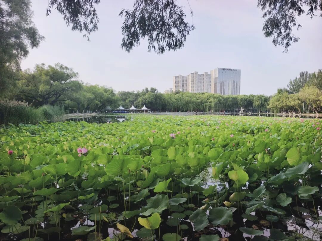 今天,呼和浩特正式进入!呼市人懵了:来了,又好像没有完全来… 今天,呼和浩特正式进入!呼市人懵了:来了,又好像没有完全来…