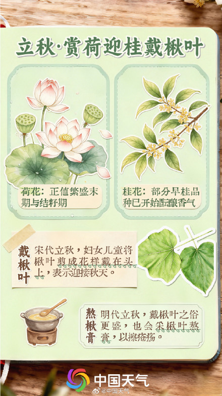 立秋至 暑热犹盛 立秋至 暑热犹盛