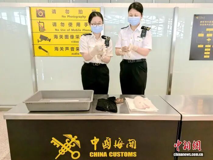 太惊人！男子在大腿上捆了两只狐狸？被称狐界“颜值天花板”