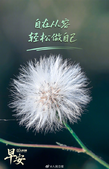 把心放宽，拥抱生活中的小惊喜