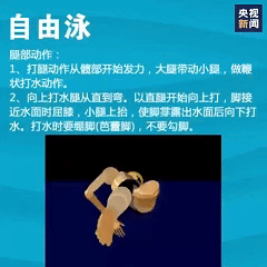 想学游泳的快转走！一次性教你入门4种泳姿