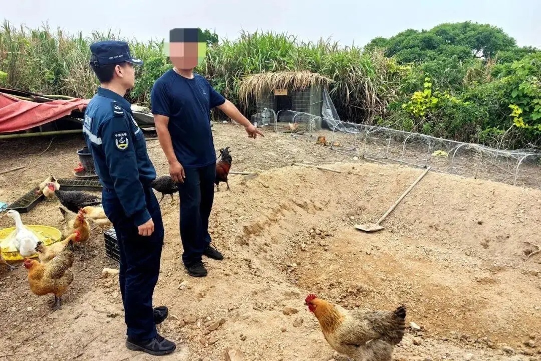 网红直播“荒岛改造” 无居民海岛如何保护？