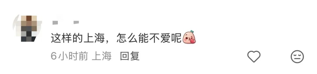 上海市中心，3只松鼠幼崽跌落滚烫地面，一群人为它们忙碌起来……