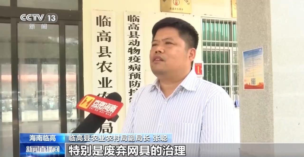 海南临高拍摄到两头中华白海豚 疑似被网状物缠绕 海南临高拍摄到两头中华白海豚 疑似被网状物缠绕
