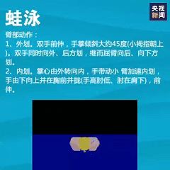 想学游泳的快转走！一次性教你入门4种泳姿
