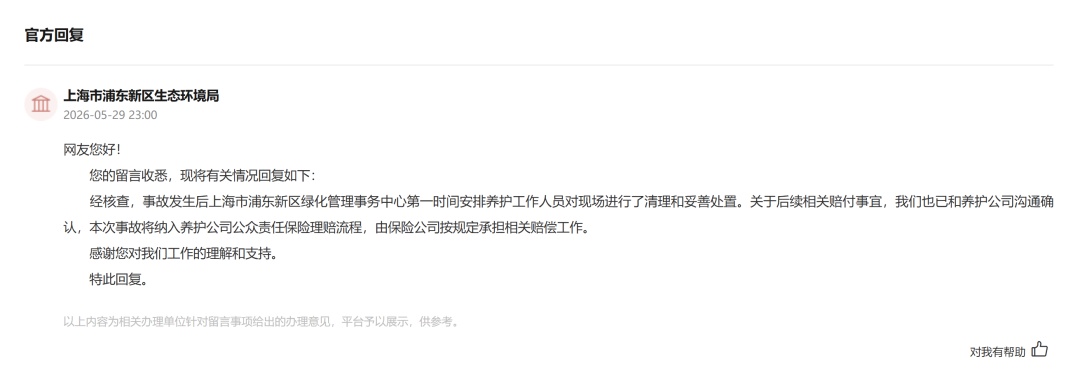 一棵近20米的树木从根部折断,砸中停车位上的车辆,谁来担责? 一棵近20米的树木从根部折断,砸中停车位上的车辆,谁来担责?
