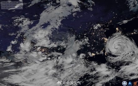 白海豚进入台风24小时警戒线