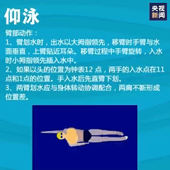 想学游泳的快转走！一次性教你入门4种泳姿