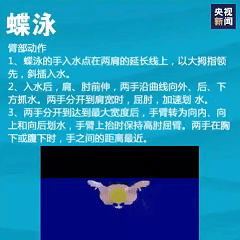想学游泳的快转走！一次性教你入门4种泳姿
