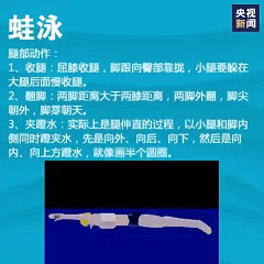 想学游泳的快转走！一次性教你入门4种泳姿