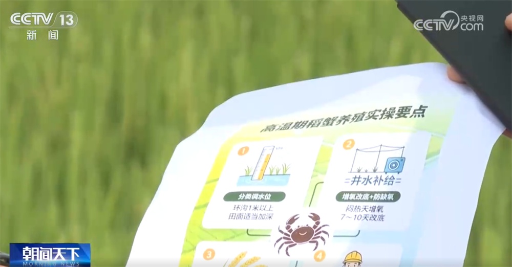 各地积极应对高温“烤”验科学防暑 文旅消费新场景让消暑纳凉有了好去处