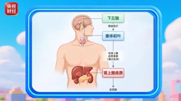 夏天血糖不降反升？做好四件日常小事帮你稳住血糖