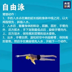 想学游泳的快转走！一次性教你入门4种泳姿