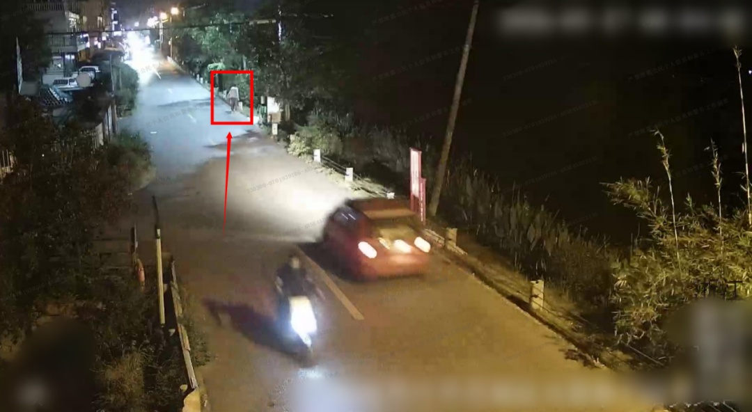 路边无人在意的果子竟价值不菲!两男子偷走获利上万元! 路边无人在意的果子竟价值不菲!两男子偷走获利上万元!