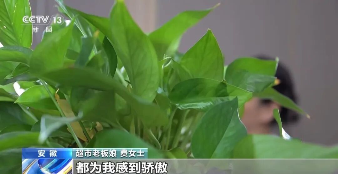 超市老板娘协助民警智擒电诈嫌疑人