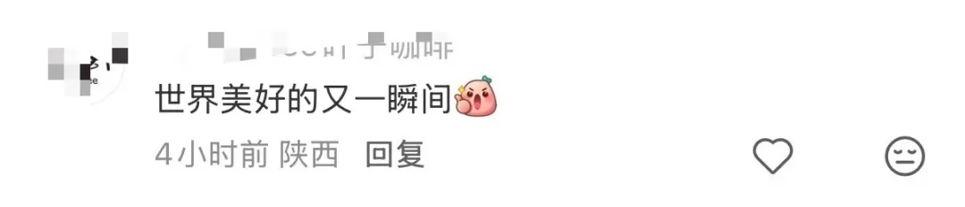 上海市中心，3只松鼠幼崽跌落滚烫地面，一群人为它们忙碌起来……