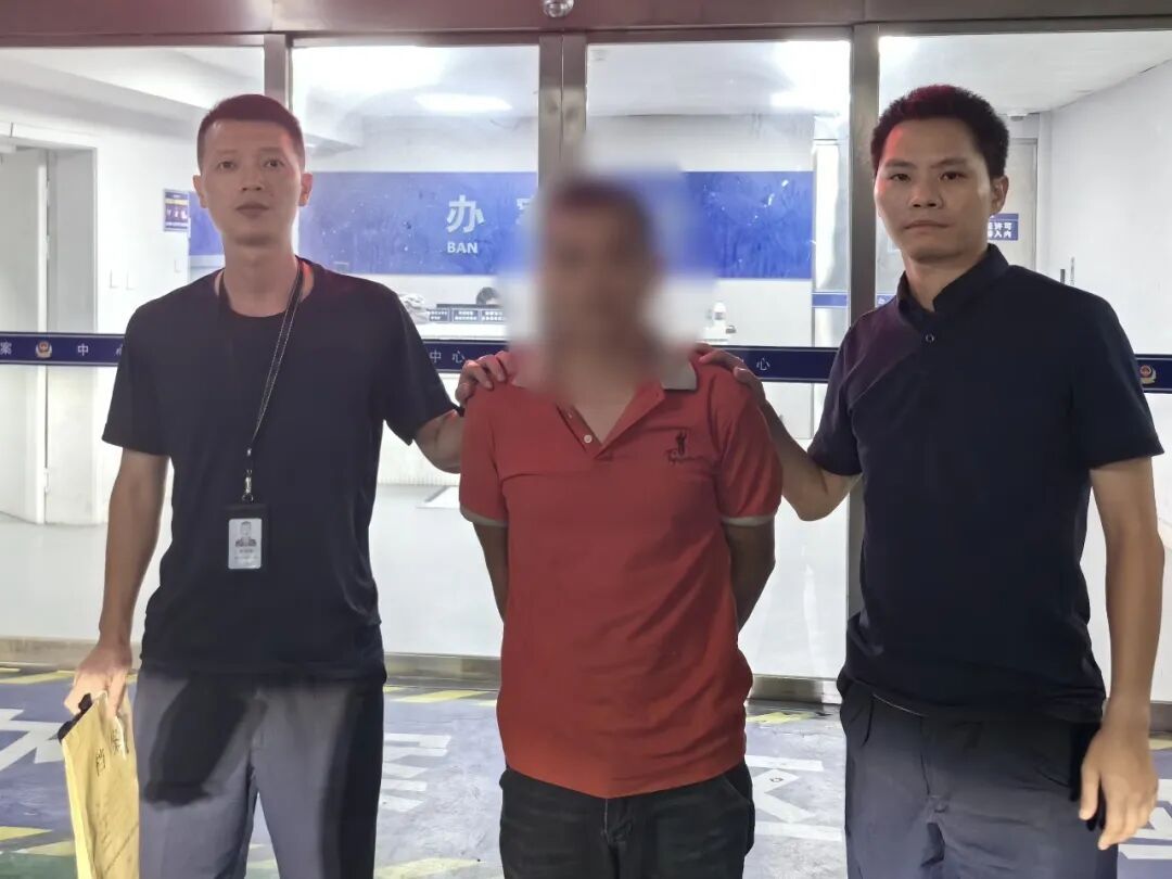 路边无人在意的果子竟价值不菲!两男子偷走获利上万元! 路边无人在意的果子竟价值不菲!两男子偷走获利上万元!