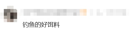 车主把海鲜忘车里4天,打开门瞬间崩溃!满车是蛆…一看评论区,"天塌了!" 车主把海鲜忘车里4天,打开门瞬间崩溃!满车是蛆…一看评论区,"天塌了!"