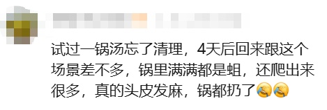 车主把海鲜忘车里4天,打开门瞬间崩溃!满车是蛆…一看评论区,"天塌了!" 车主把海鲜忘车里4天,打开门瞬间崩溃!满车是蛆…一看评论区,"天塌了!"