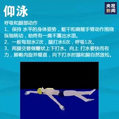 想学游泳的快转走！一次性教你入门4种泳姿