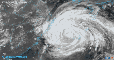 扩散提醒！白海豚带来的风雨上线了