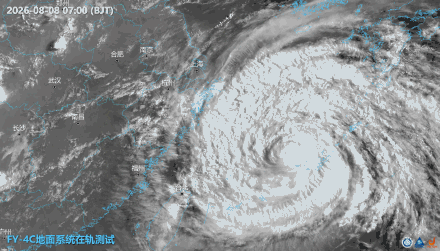 扩散提醒！白海豚带来的风雨上线了