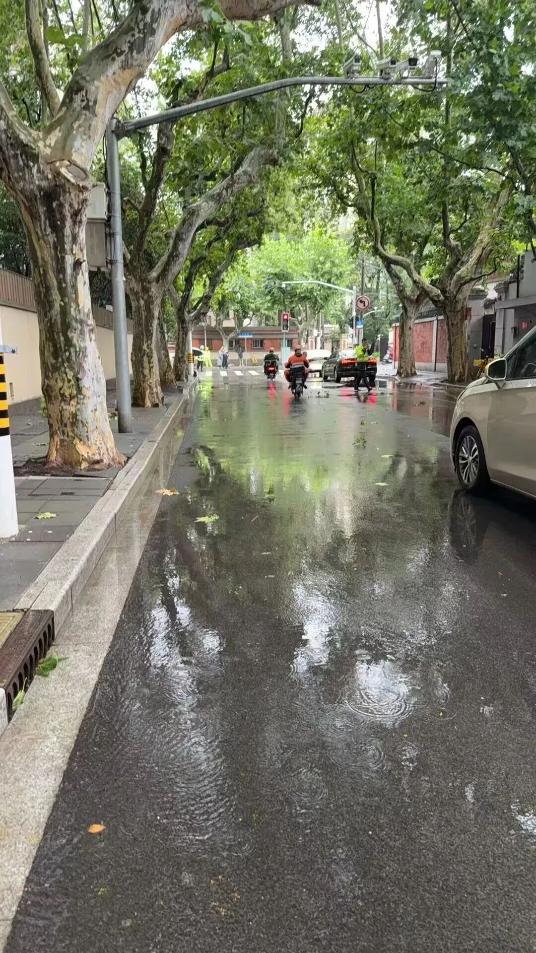 台风“白海豚”在浙江乐清二次登陆！上海多支抢险队伍集结排涝