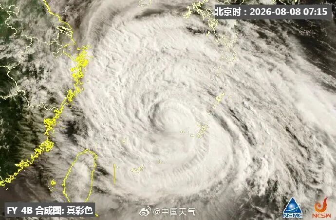 台风“白海豚”，走出古怪路径！上海四个区发布台风黄色预警信号，全市风雨明显！“菜篮子”有准备→