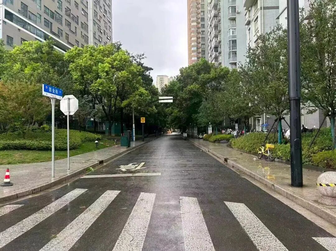 台风“白海豚”在浙江乐清二次登陆！上海多支抢险队伍集结排涝