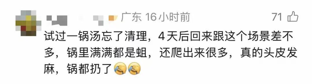 广东一车主把海鲜忘车里4天,洗车店老板打开门瞬间崩溃!满车是蛆,熏得眼睛都是辣的 广东一车主把海鲜忘车里4天,洗车店老板打开门瞬间崩溃!满车是蛆,熏得眼睛都是辣的