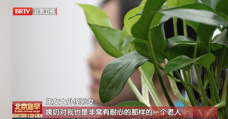 无子女老人 独居老人，谁来为他们的暮年“兜底”？