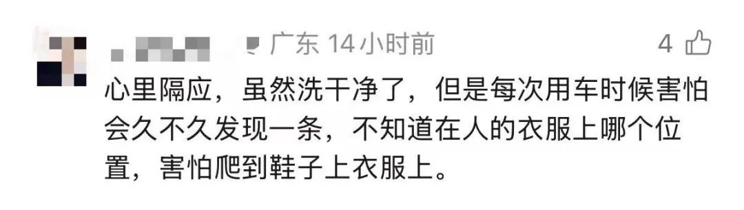 广东一车主把海鲜忘车里4天,洗车店老板打开门瞬间崩溃!满车是蛆,熏得眼睛都是辣的 广东一车主把海鲜忘车里4天,洗车店老板打开门瞬间崩溃!满车是蛆,熏得眼睛都是辣的
