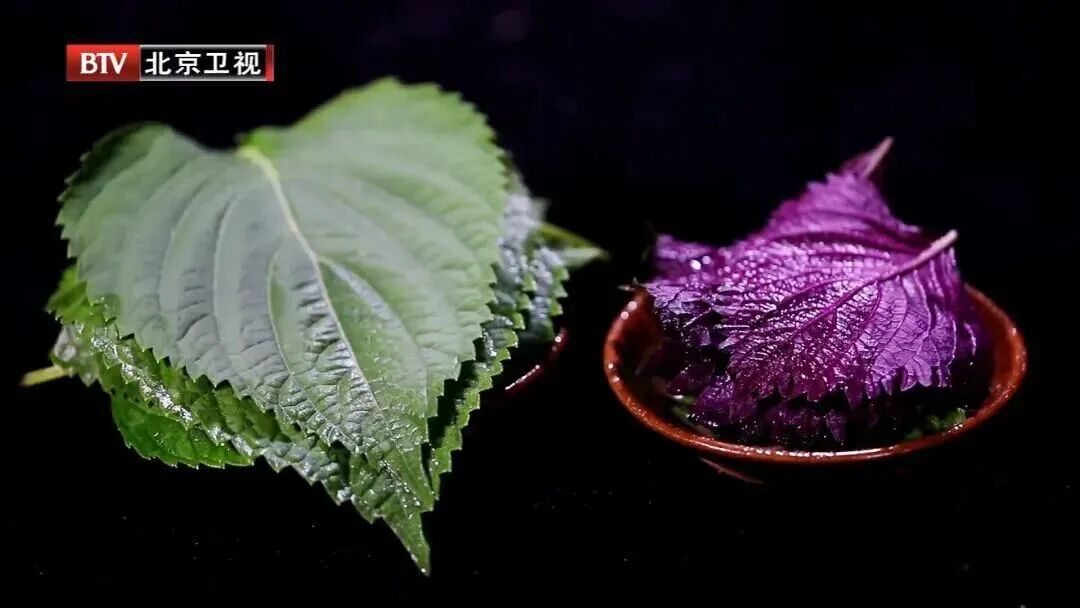 多吃5种菜大补阳气，通络疏淤，调养五脏