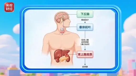从今天起,做好四件小事,帮你稳血糖! 从今天起,做好四件小事,帮你稳血糖!