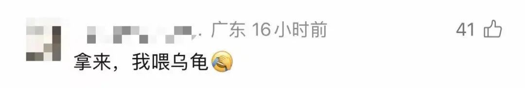 广东一车主把海鲜忘车里4天,洗车店老板打开门瞬间崩溃!满车是蛆,熏得眼睛都是辣的 广东一车主把海鲜忘车里4天,洗车店老板打开门瞬间崩溃!满车是蛆,熏得眼睛都是辣的
