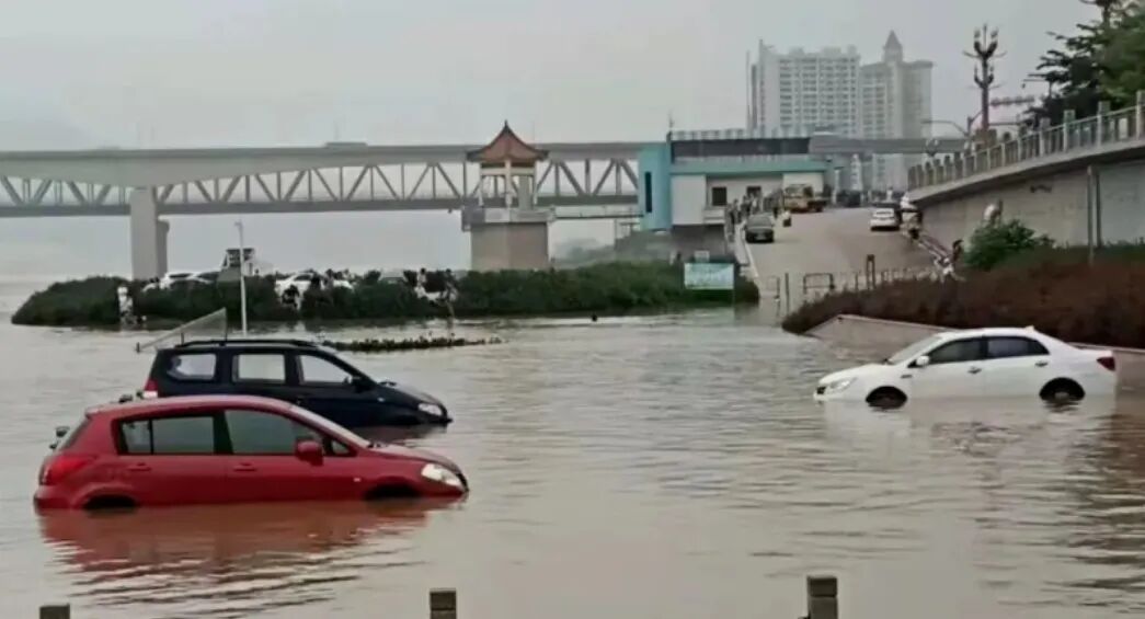 台风天安全行车，这些要点请牢记→
