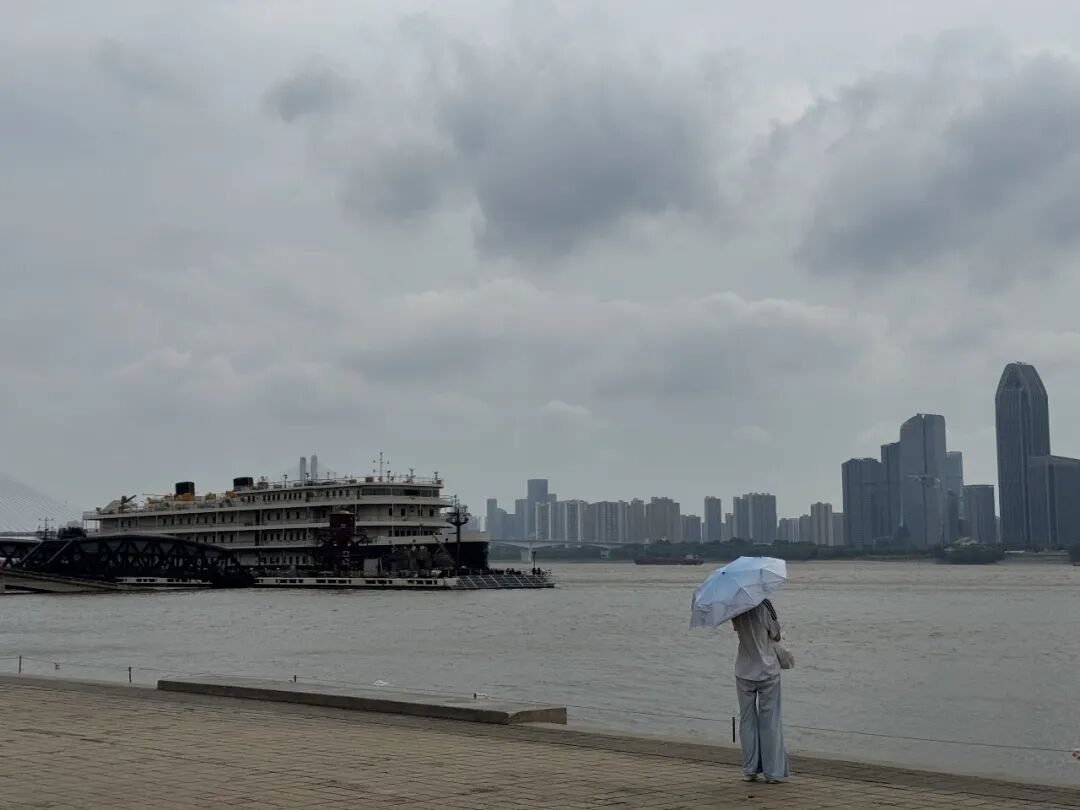 "白海豚"将至,武汉迎9级大风与暴雨,这份防灾避险指南请关注 "白海豚"将至,武汉迎9级大风与暴雨,这份防灾避险指南请关注