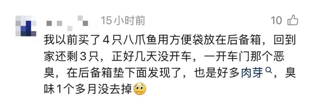 广东一车主把海鲜忘车里4天,洗车店老板打开门瞬间崩溃:满车是蛆…… 广东一车主把海鲜忘车里4天,洗车店老板打开门瞬间崩溃:满车是蛆……
