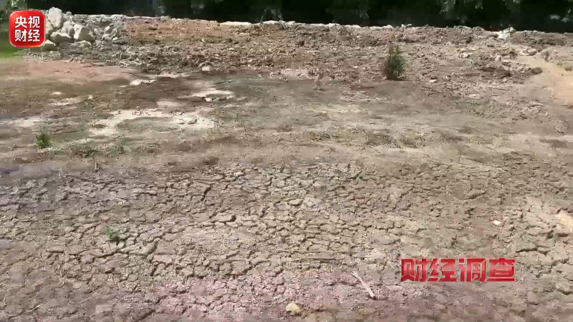 财经调查丨良田被毁 污水入河！这些民生治污工程形同虚设
