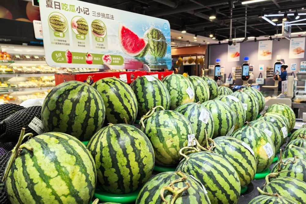 甜蜜的西瓜,为啥叫“报恩水果”? 甜蜜的西瓜,为啥叫“报恩水果”?