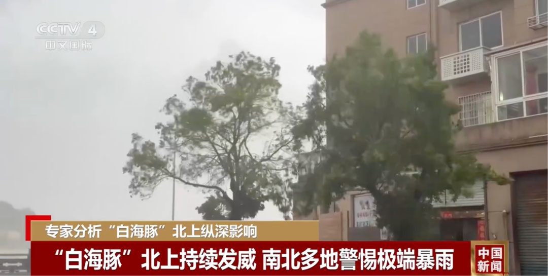 台风“白海豚”,突然大拐弯 台风“白海豚”,突然大拐弯